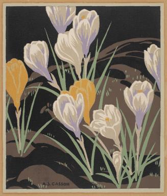Crocuses