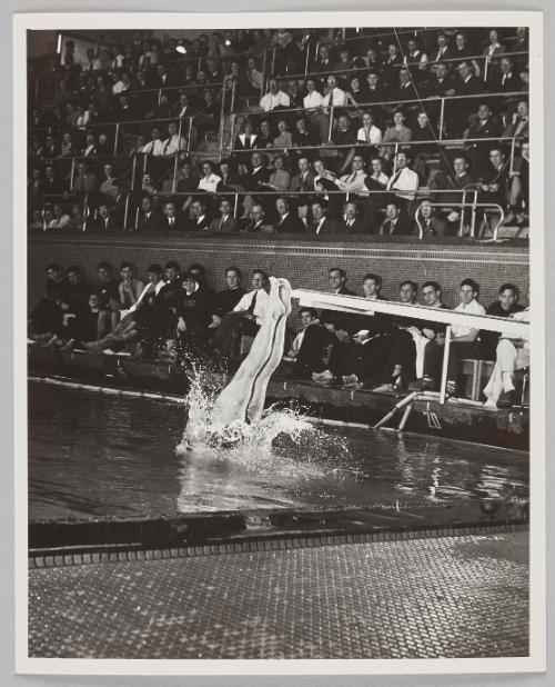 diver