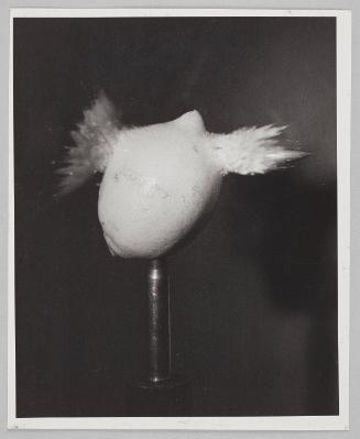 bullet thru lemon