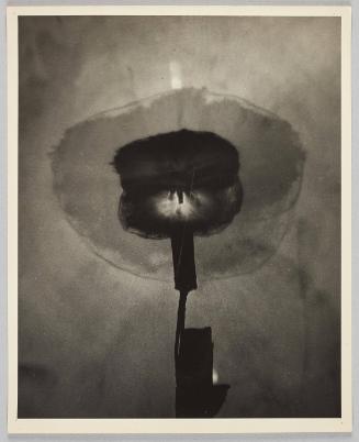 Double Flash of a Dynamite Cap