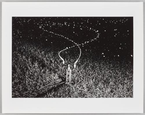 Water Splinker at Night