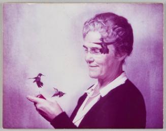 Mrs.Webster and H-Birds