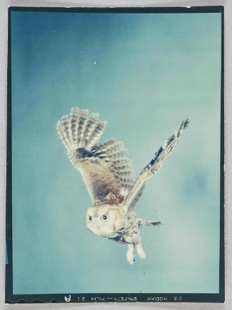 Spooky-Contact print
