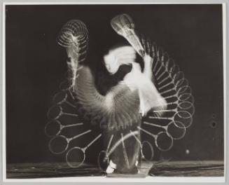 Jack Sommer Squash-sgnd