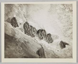Bat Cluster on cave ceiling