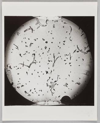 Water Exploration Project 1932-1988