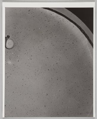 Water Exploration Project 1932-1988