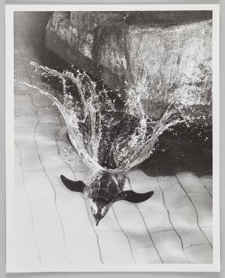 Underwater Penguin, NE Aquarium