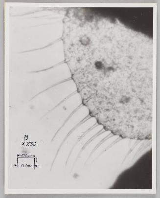 Shadow Exhibit prints & Notes, 1987