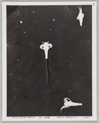 Shadow Exhibit prints & Notes, 1987