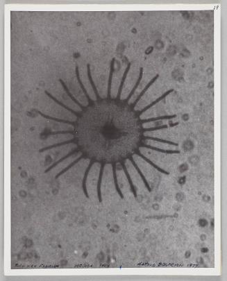 Shadow Exhibit prints & Notes, 1987