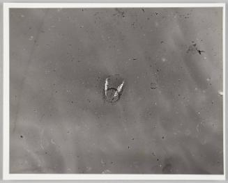 Shadow Exhibit prints & Notes, 1987