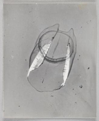 Shadow Exhibit prints & Notes, 1987