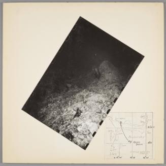 Underwater Exploration Panels