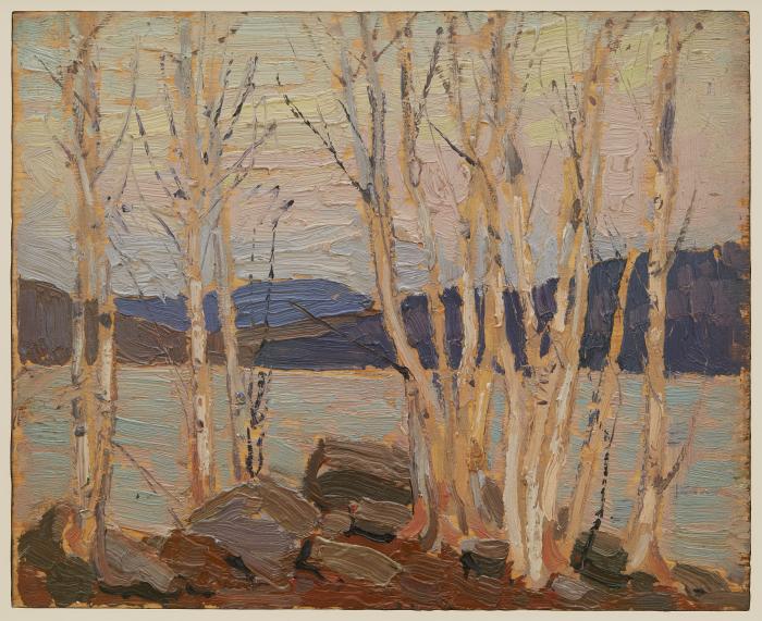 Birch Grove, Algonquin Park