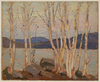 Birch Grove, Algonquin Park