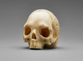 Ivory Skull