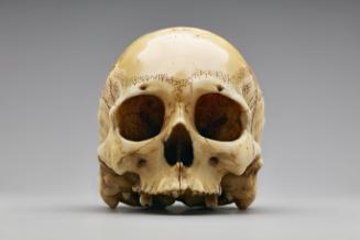 Okimono in Ivory of a Human Skull