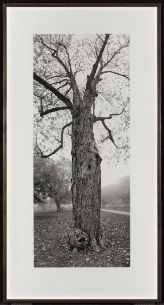 Chestnuts, Spadina House