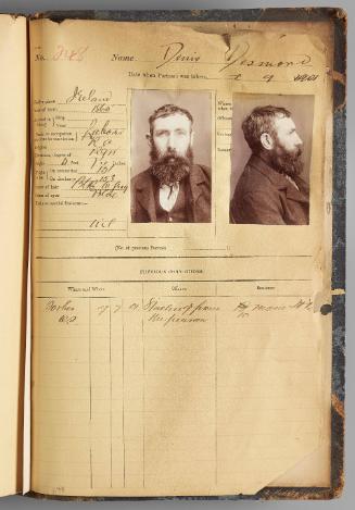 Page 248 of The Goulburn Gaol Records 1899-1923: Book 2: Bound records of convicts